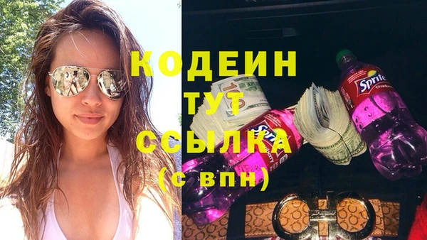 гидра Абаза