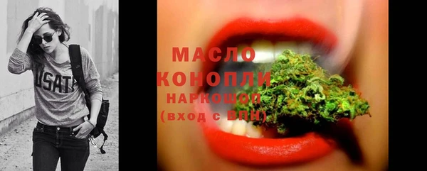 гидра Абаза