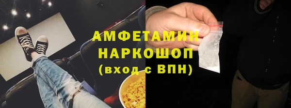 гидра Абаза