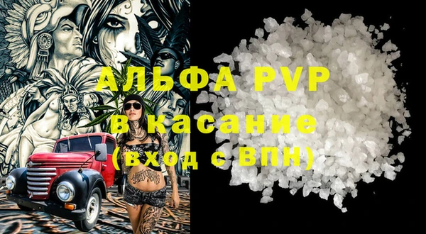 гидра Абаза