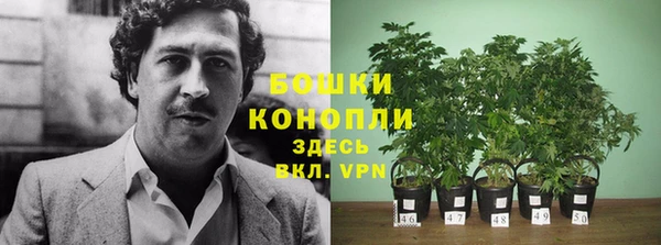 гидра Абаза