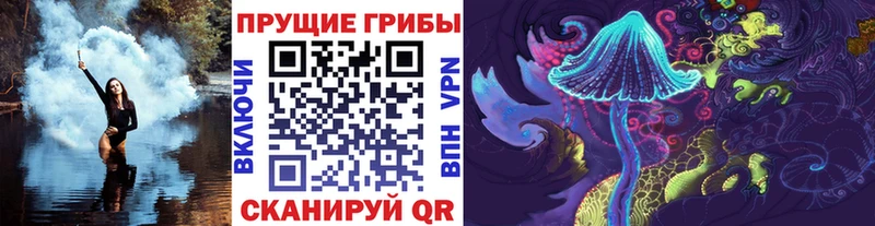 это клад  Клинцы  Псилоцибиновые грибы Psilocybine cubensis 
